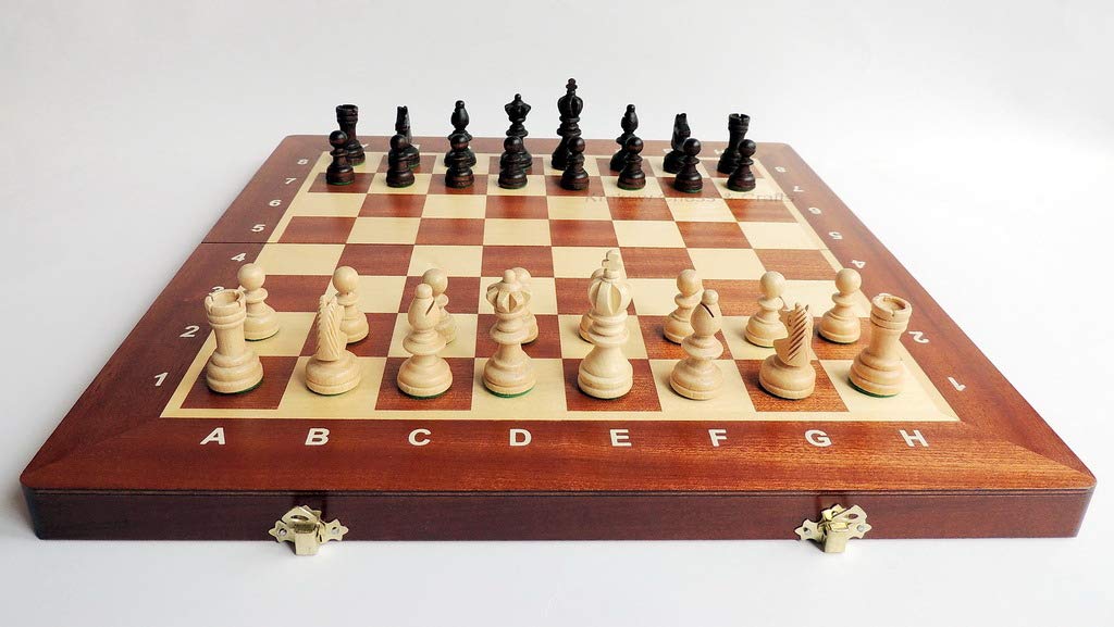 Master of Chess Echiquier Bois Olympique 35 cm - Tournoi Jeu D'échecs - Fait Main Jeu Echec - Echecs en Bois Pliable - Jeux D'echec pour Enfants et Adultes