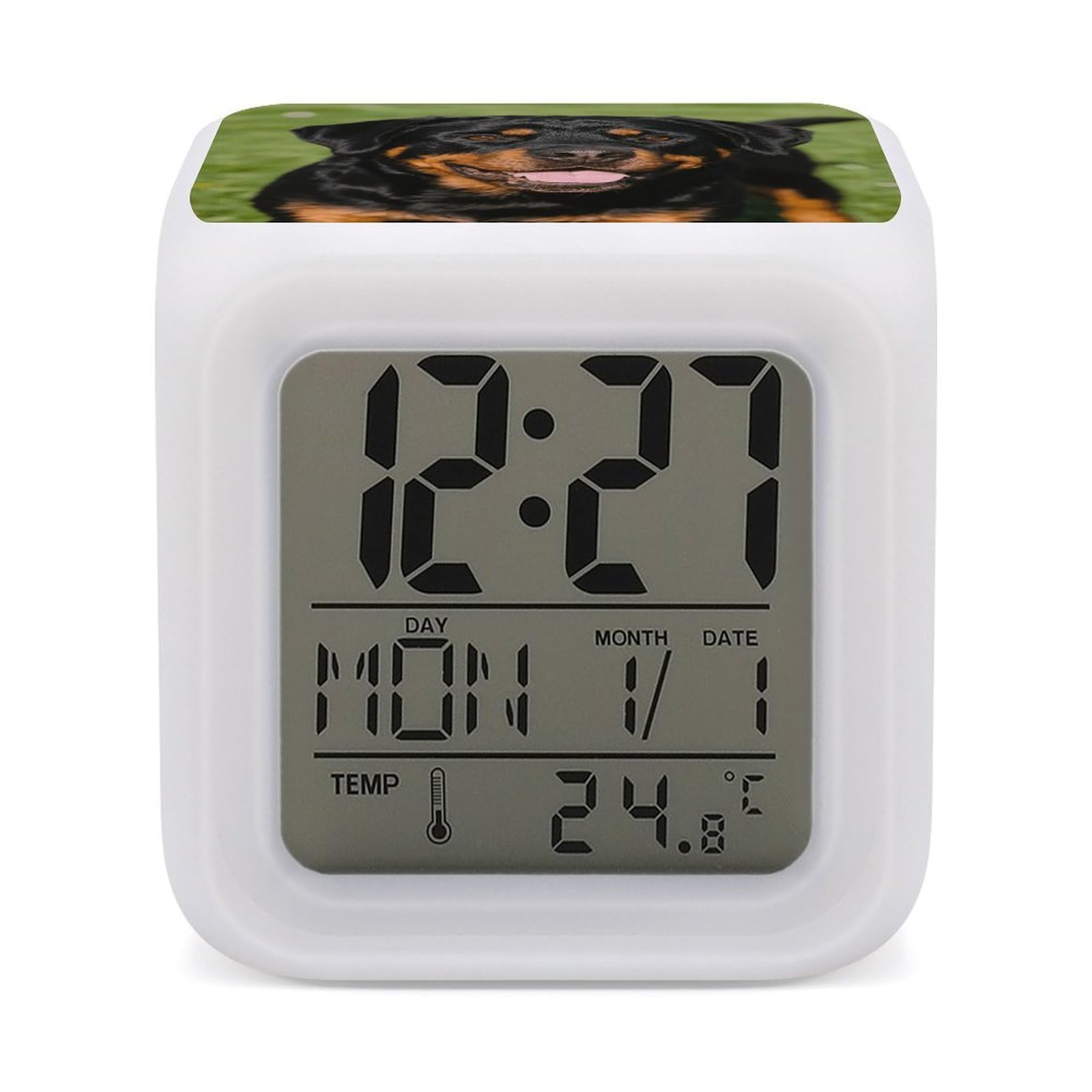 FodPand 7 Color Ambient Night Light Cube Battery Operated Rottweiler Digital Clock with Snooze Temperature LED Digital Alarm Clocks Dimmable Wake Up Light Portable Mood Lamp for Bedroom Desk Gift