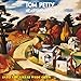 Into The Great Wide Open [LP]