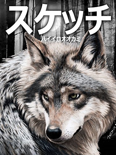 ビデオクリップ: スケッチ ハイイロオオカミ