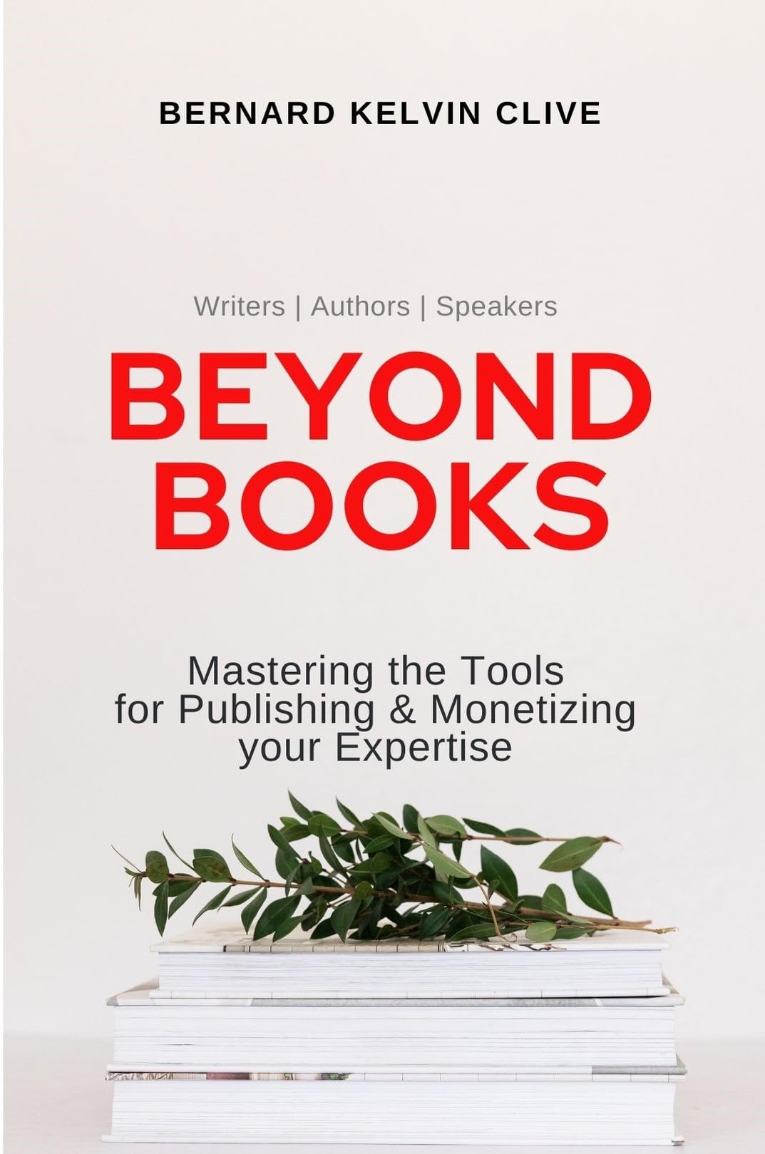 Beyond Books Kindle book cover