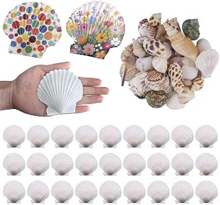 30PCS Large Natural Scallop Shells 3.15''-3.5'' White Sea Shells for DIY Craft Making, Hand Painting, Ocean Themed Party and Home Décor with 30 Small Mixed Sea Shells/Conchs