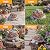 Snclriao Solar Turtle Garden Outdoor Decor with Succulent & 7 LED Lights – Outside Tortoise Statue Decor for Yard Patio Balcony & Backyard - Home House Decoration Art - Gift for Men Dad Women Mom