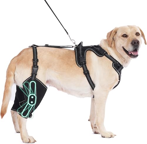 Soporte de cadera para perro con cuerda de tracción, diseño ajustable de 4 extremidades, mantiene las articulaciones calientes y estables y evita disponible en Yaxa Colombia