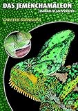 Das Jemenchamäleon: Chamaeleo calyptratus (Art für Art / Terraristik)