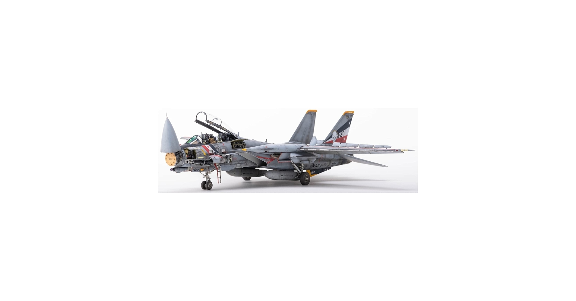 Amazon | アバンギャルドモデル 1/48 アメリカ海軍 F-14D