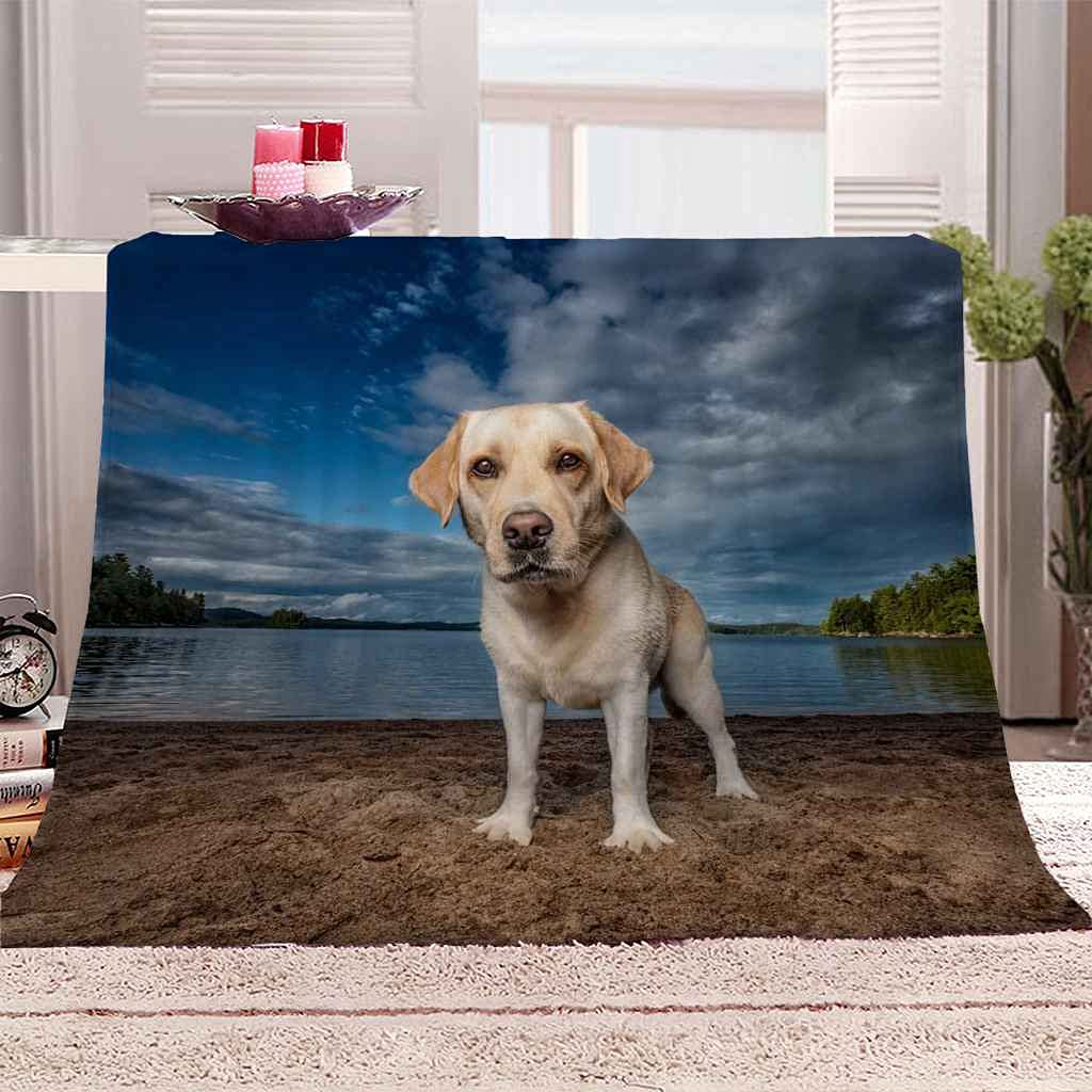 Couverture Polaire Chien du Lac Douce pour Soirée Cocooning Canapé