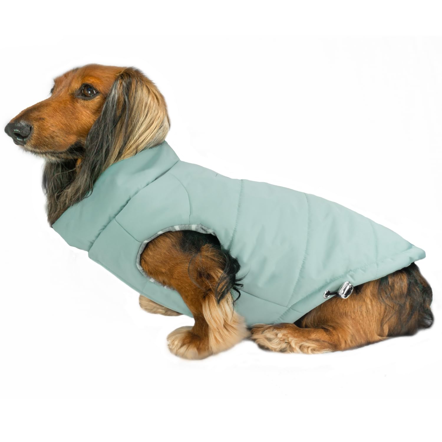 DJANGO Puffer Dog Coat – Warm Winter Dog Jacket & Water-Repellent Insulated Puffer Vest with Striped Lining, Harness Hole, Adjustable Fit for Small & Medium Dogs, Dachshunds – Sea Foam Green, Medium — image 1
