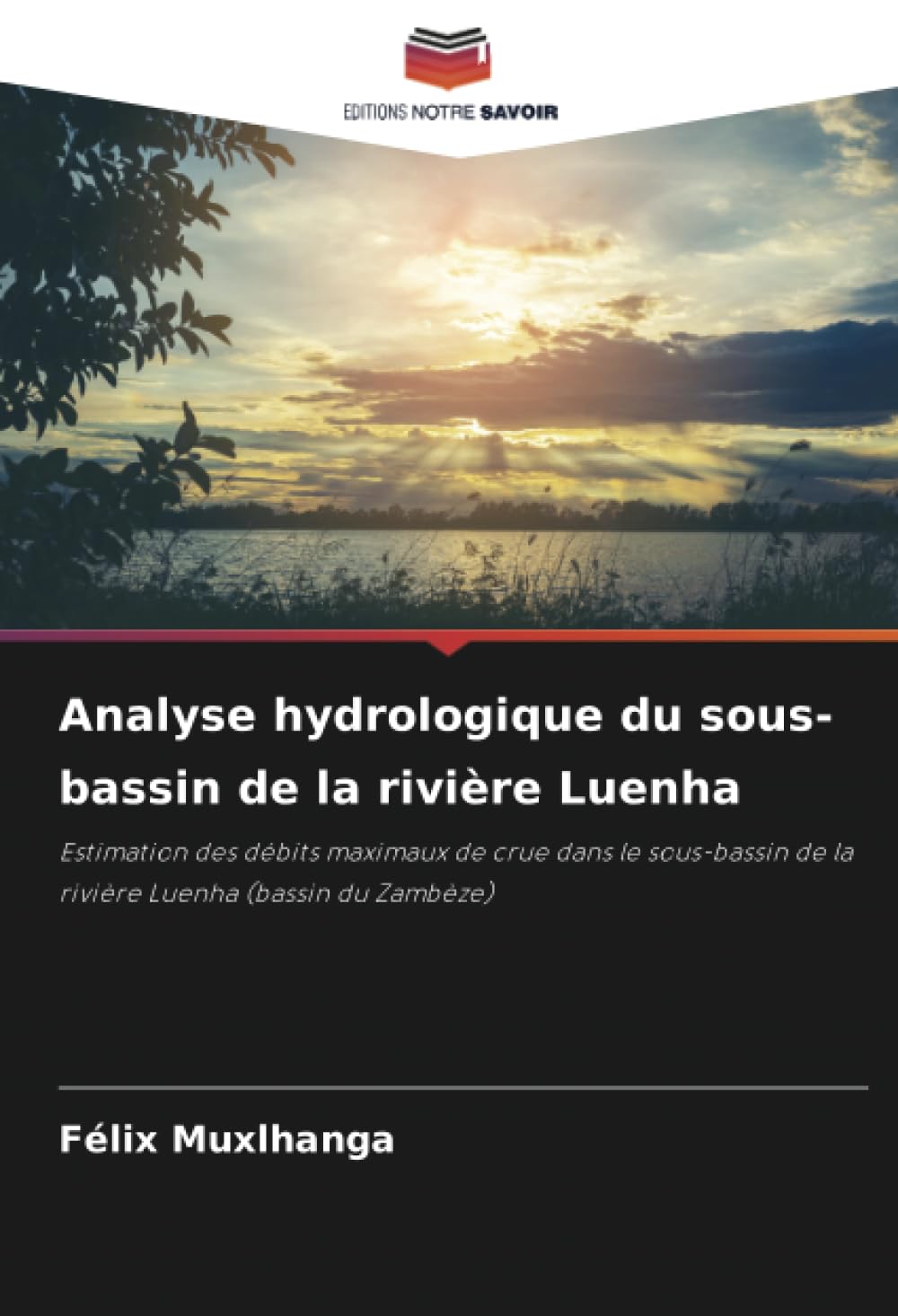Analyse hydrologique du sous-bassin de la rivière Luenha: Estimation des débits maximaux de crue dans le sous-bassin de la rivière Luenha (bassin du Zambèze)