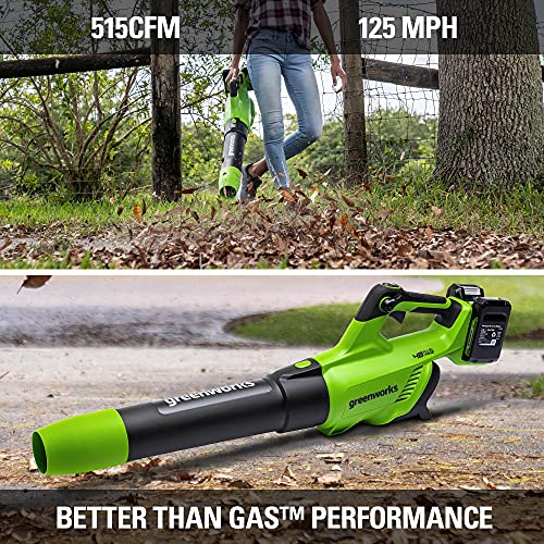Image of Greenworks 48V Cordless Leaf Blower, 515 CFM, (2) 2.0 Ah Batteries, Charger
