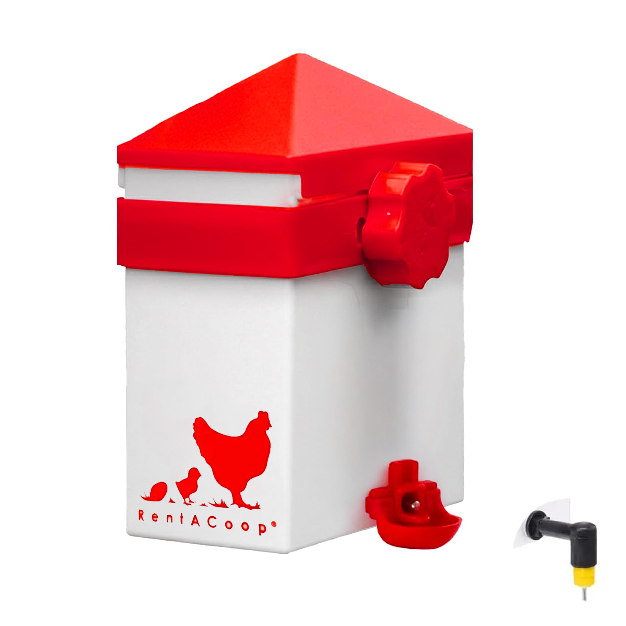 Amazon.com: RentACoop: Flock Favorites