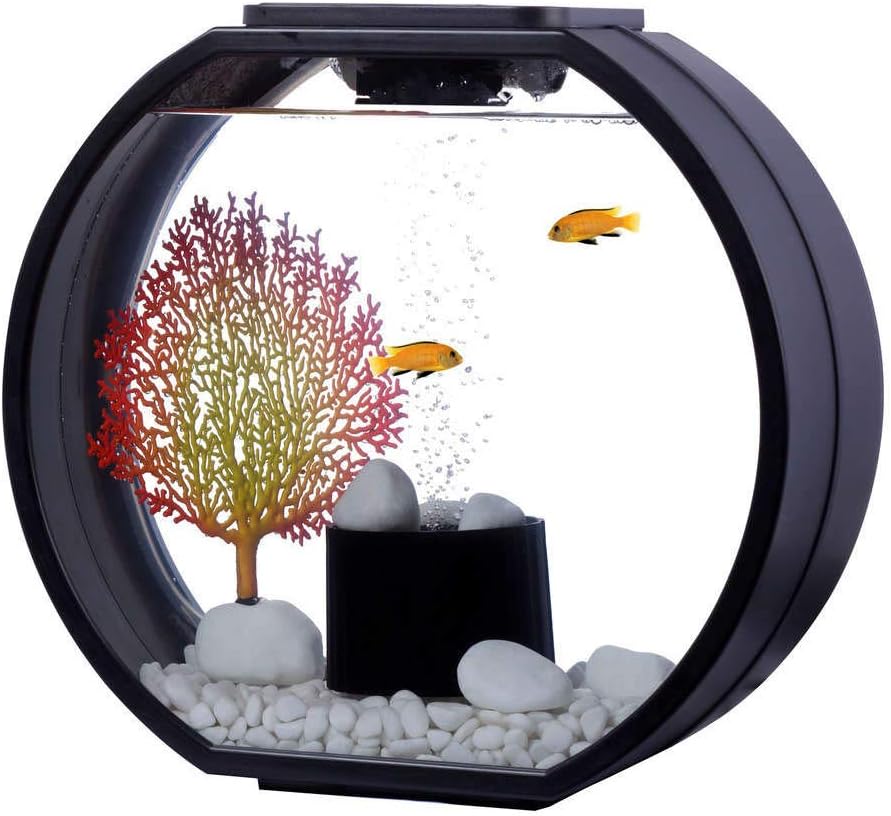 AA Deco O Aquarium, Black