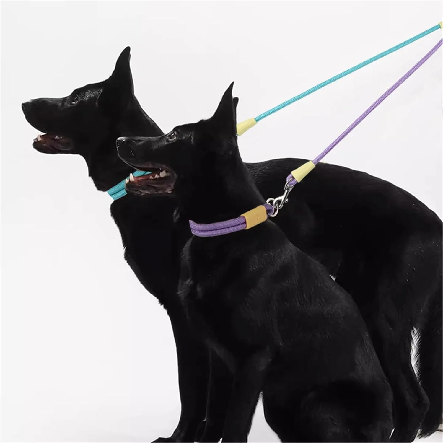 Double Leash Puppy Out One Drag Two Dog Leash(Black Orange)