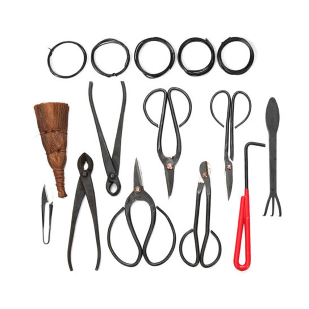 Lot de 10 Outils de Jardin pour bonsaï en Acier Carbone avec étui en Nylon