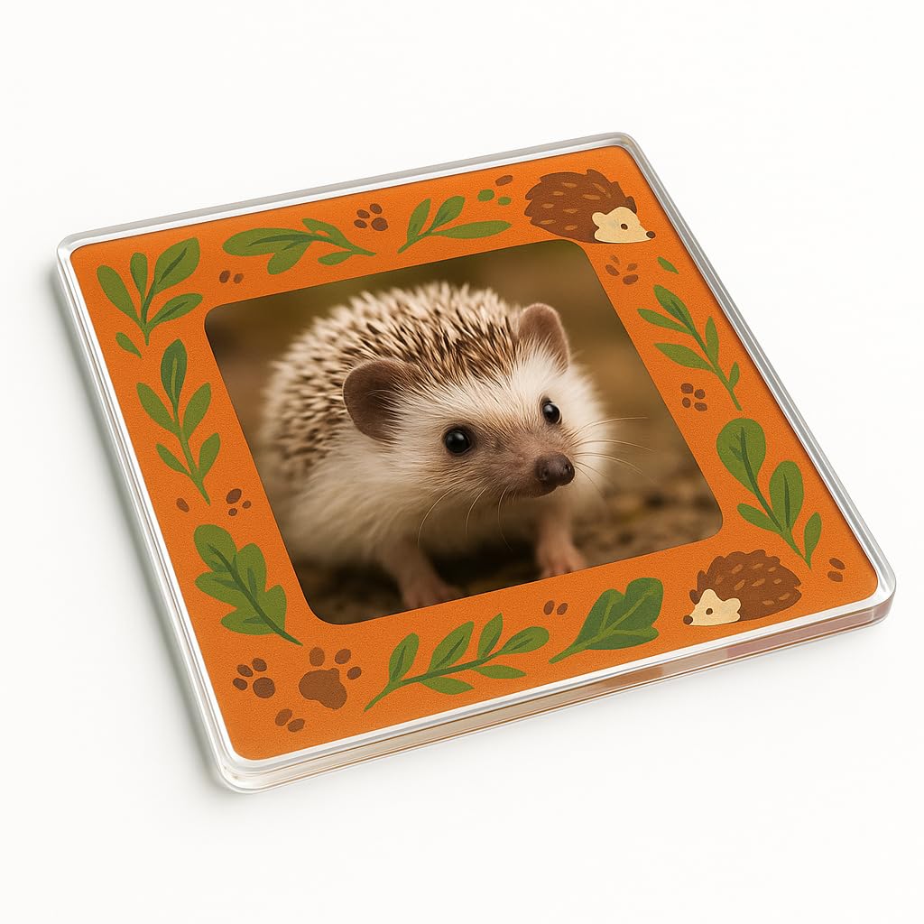 The Plum Penguin Hedgehog Acrylic Coaster Gift With Haven Design - Whimsical Animal Lover Home Decor For Personalized Photo Display