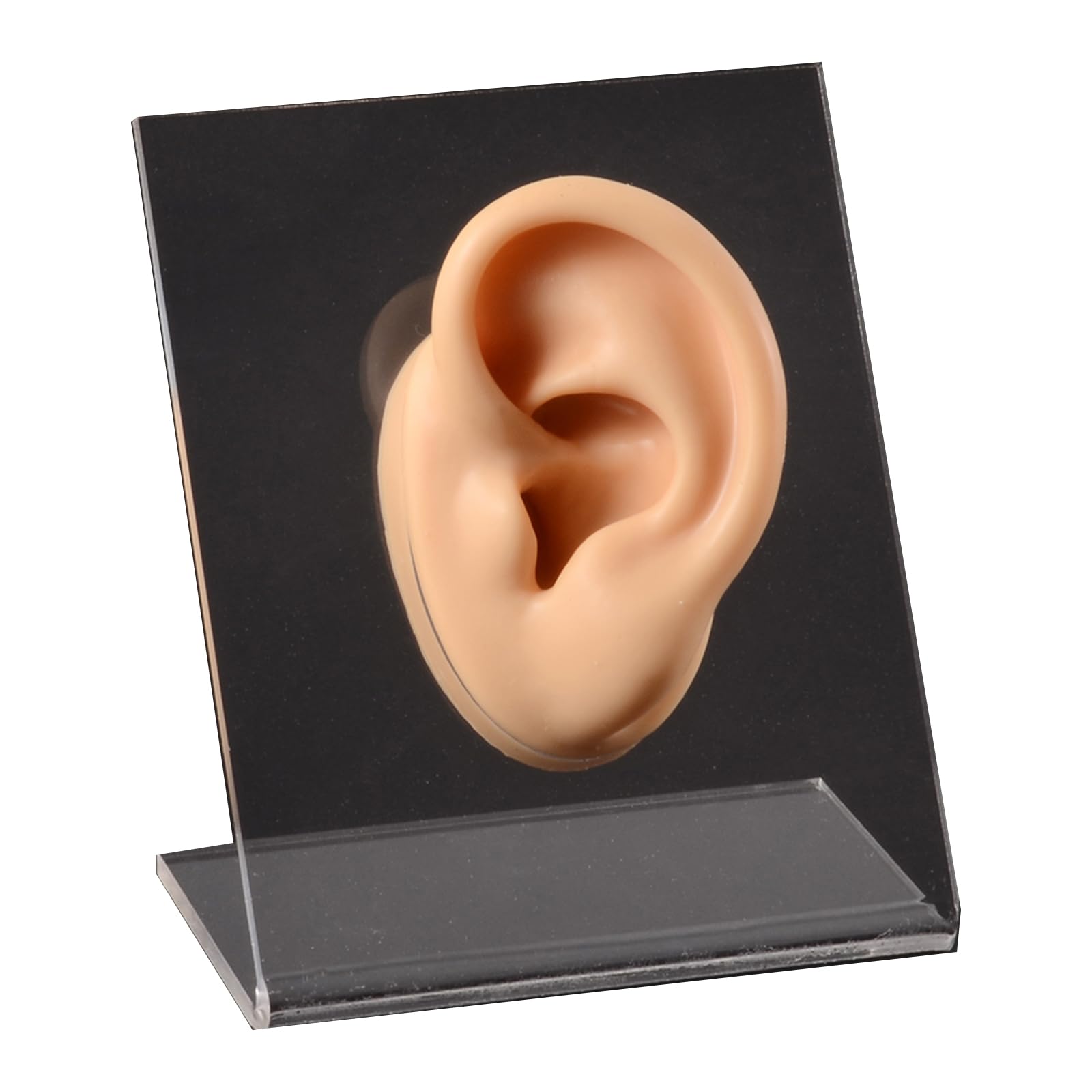 Modelo de oreja de silicona de 6cm color carne para exhibición de joyas