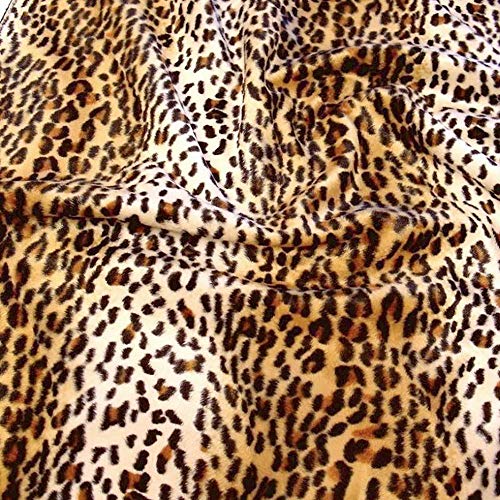 Leoparden Teppich Gunstig Kaufen Mit Erfahrungen Von Kaufern