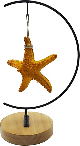 SGrace Soporte de exhibición de ornamentos para decoración del hogar y boda, estante para colgar globo de vidrio para plantas de aire, soporte para