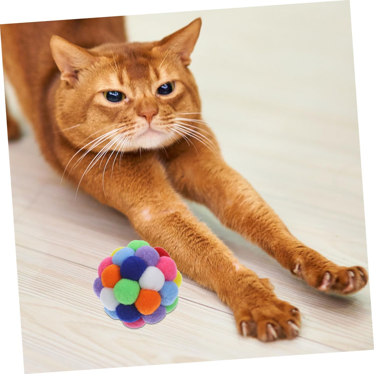 UPKOCH 4pièces Balles Interactives pour Chat Et Chaton avec Clochette pour Jeu Et Entraînement Satisfont Instinct De Griffage