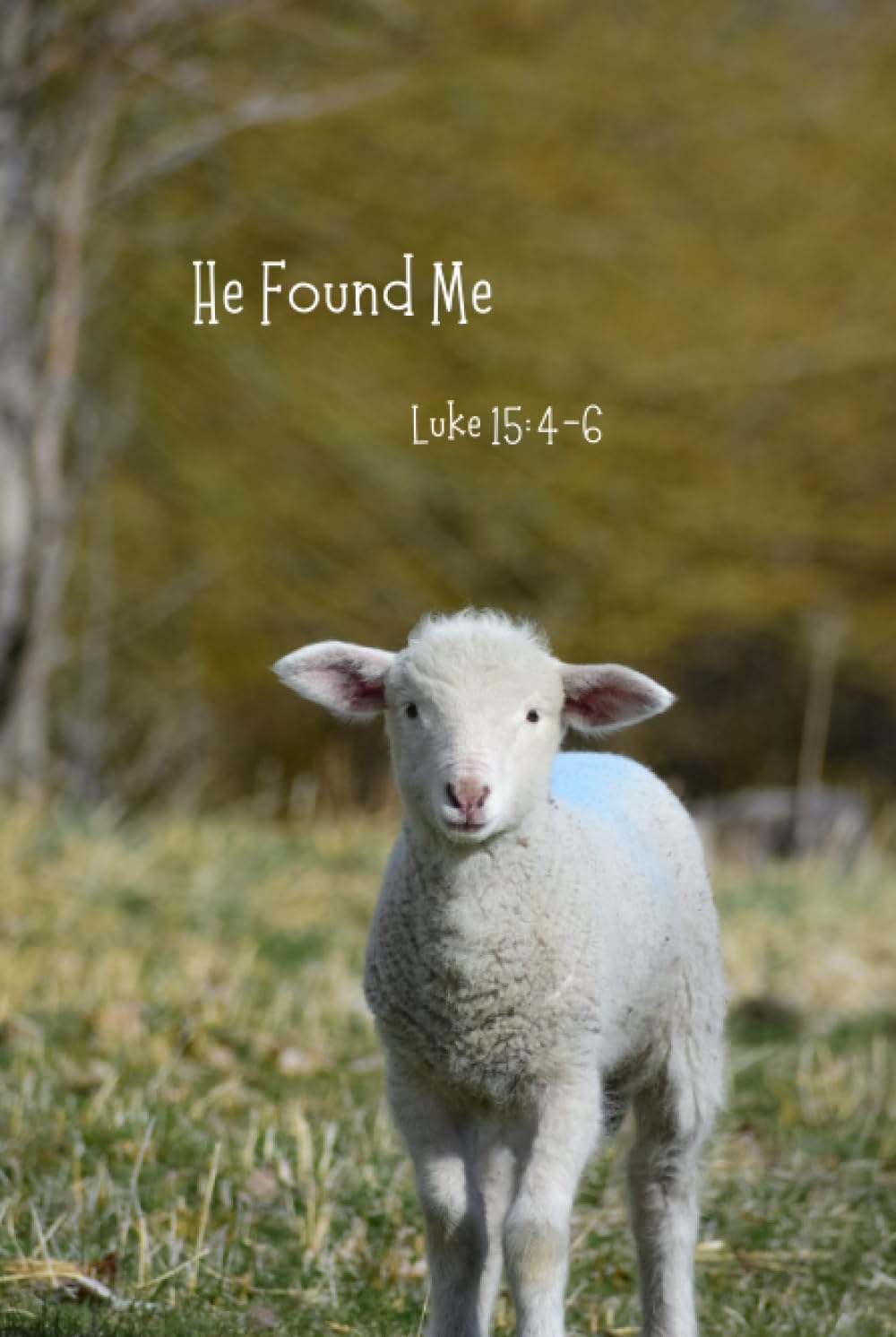 He Found Me- Luke 15:4-6: Journal Hardcover – 2 Aug. 2023