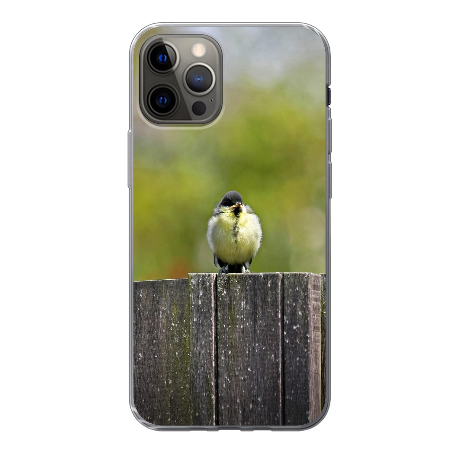 MuchoWow Funda para iPhone 13 Pro - Tres jóvenes Tetas Grandes sentadas en una Valla - Funda de Silicona/Funda Blanda para teléfono móvil