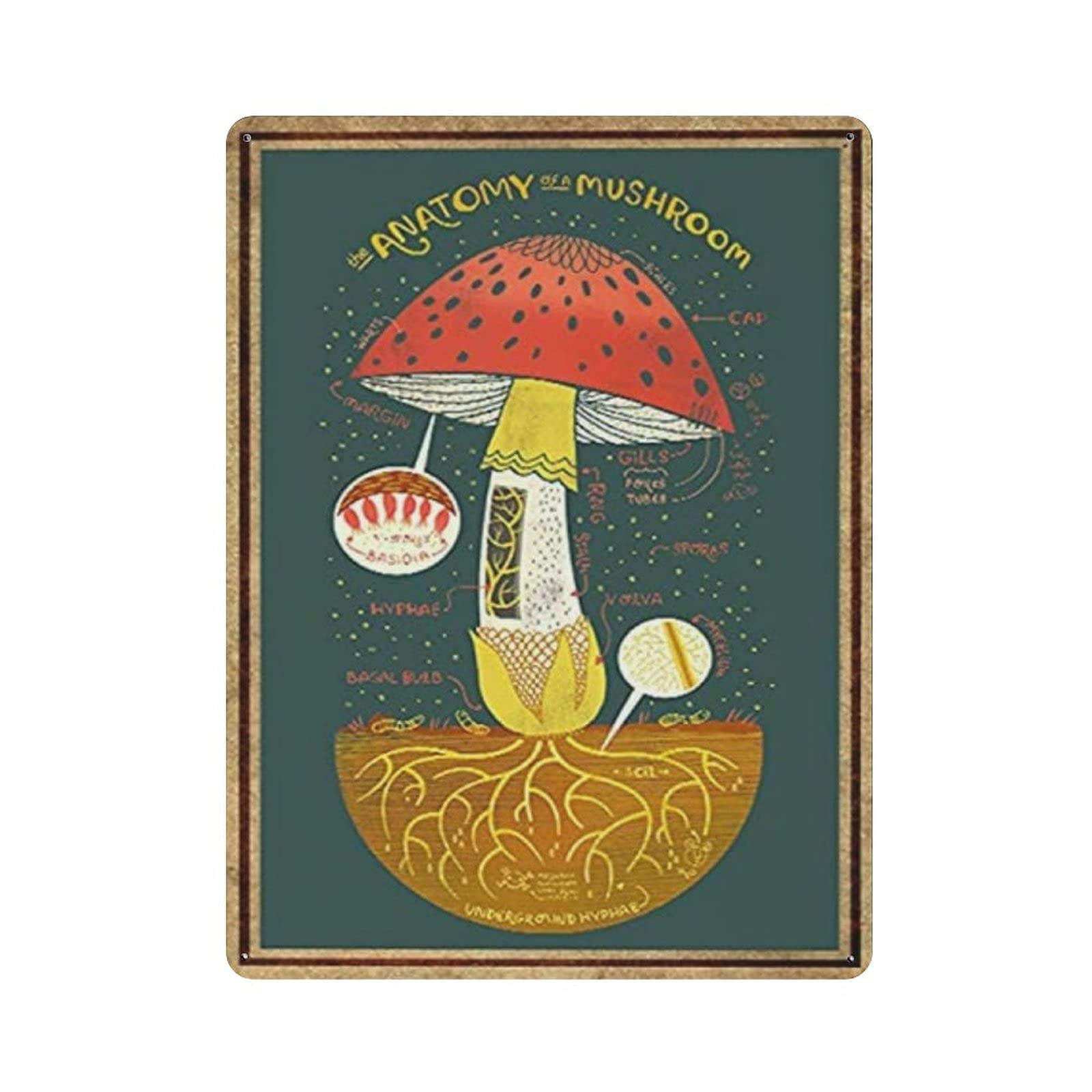 rayprint The Anatomy of A Mushroom Retro Tin Sign Party Farm Wall Decoration Iron Painting Metal Plate Gifts Idea 16x12in (40x30cm)