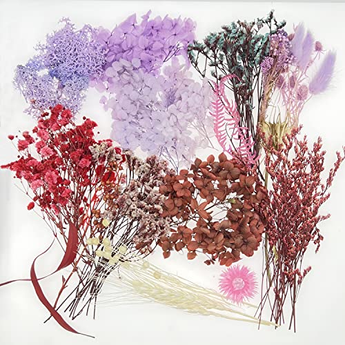 Cayway 2 Packs Natural Dried Flowers, Real Dried Pressed Flowers, Multiple Pressed Dry Flowers with Tweezers - Image 4
