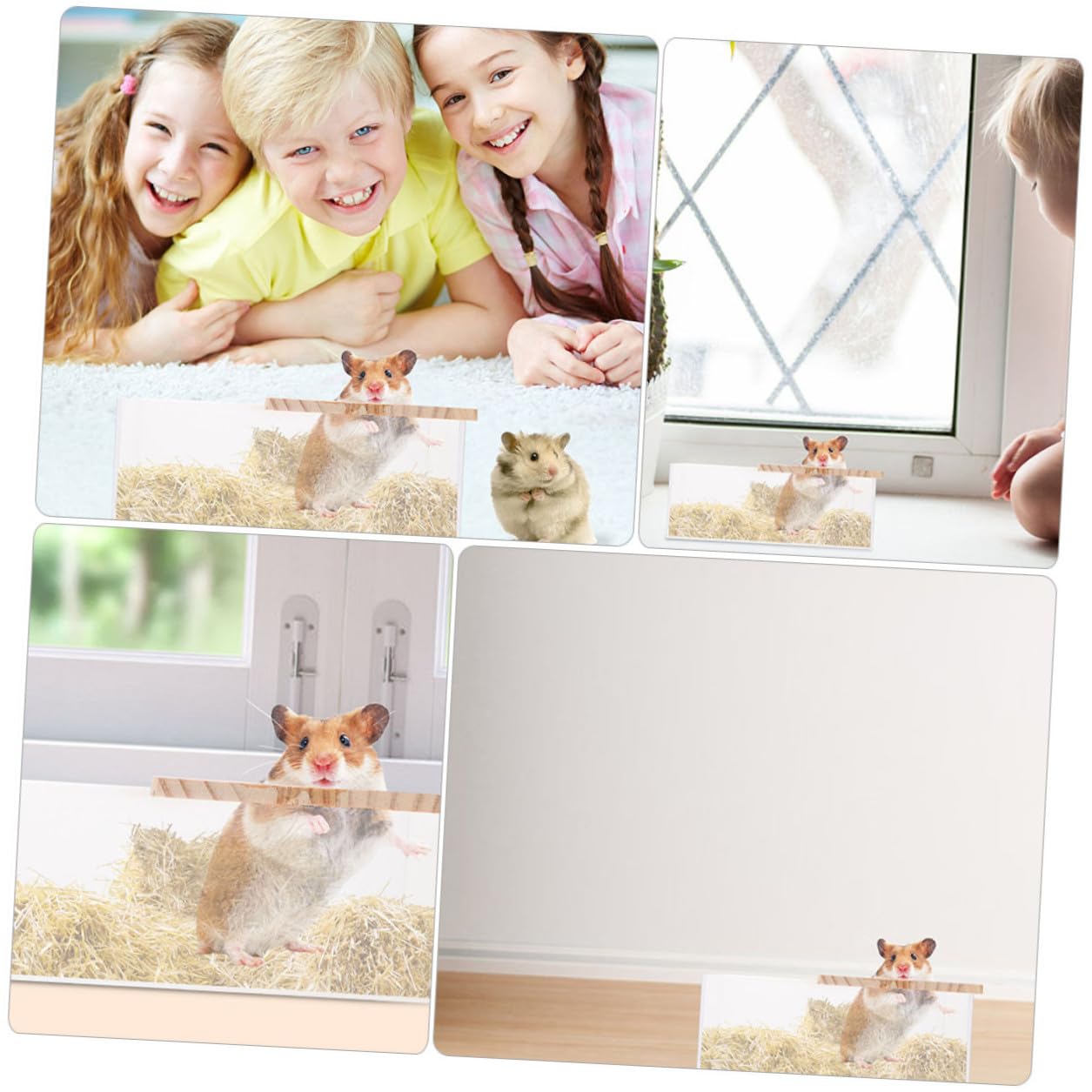 NUOBESTY 2 Stück Acryl Hamster Badewanne für Kleintiere Transparent und Verschleißfest für Baden und Spielen im Zuhause oder Haustiergeschäft