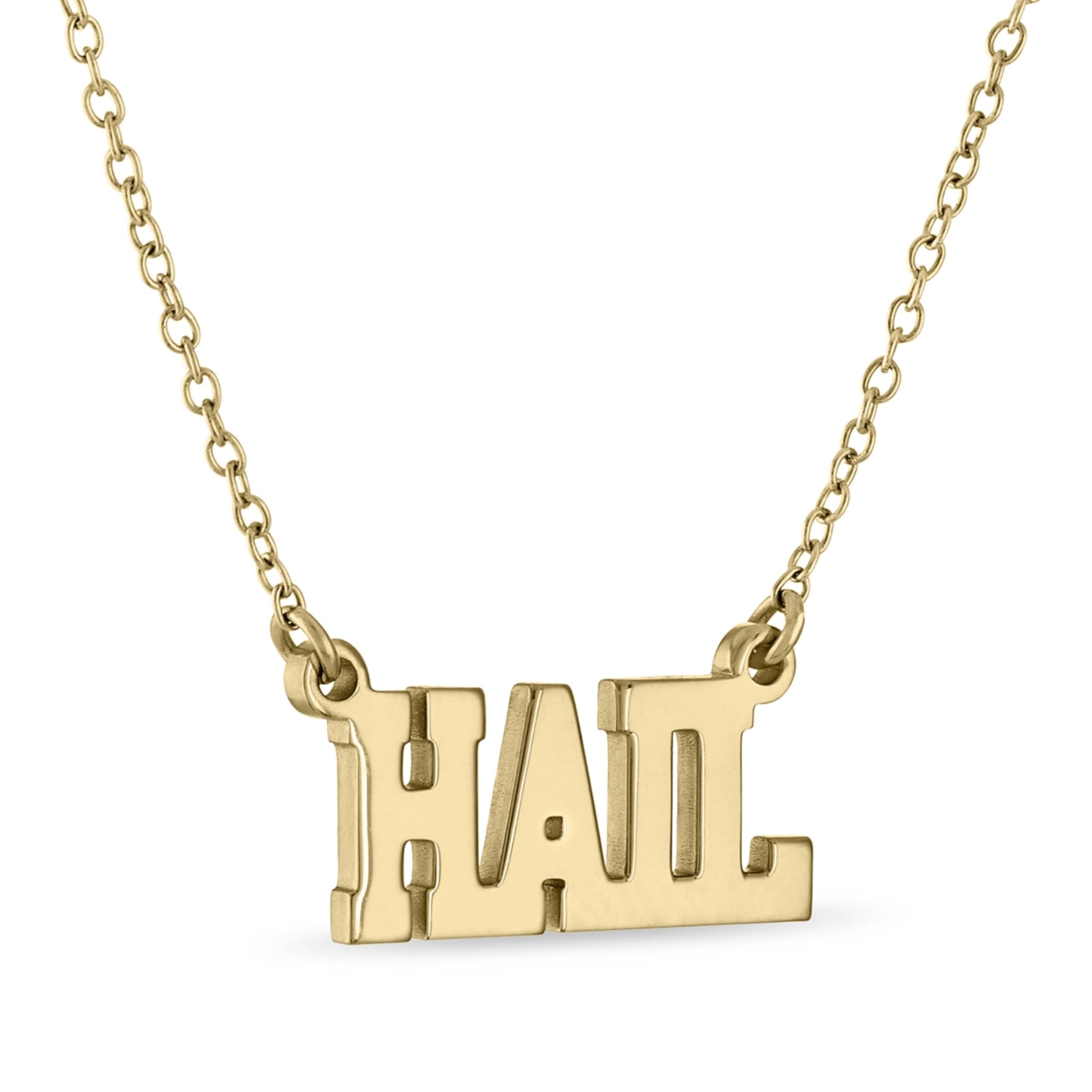 Stone Armory Michigan Wolverines Jewelry - 18K Gold Plated HAIL Necklace - Hypoallergenic and Adjustable 16-20in - University of Michigan Gifts for