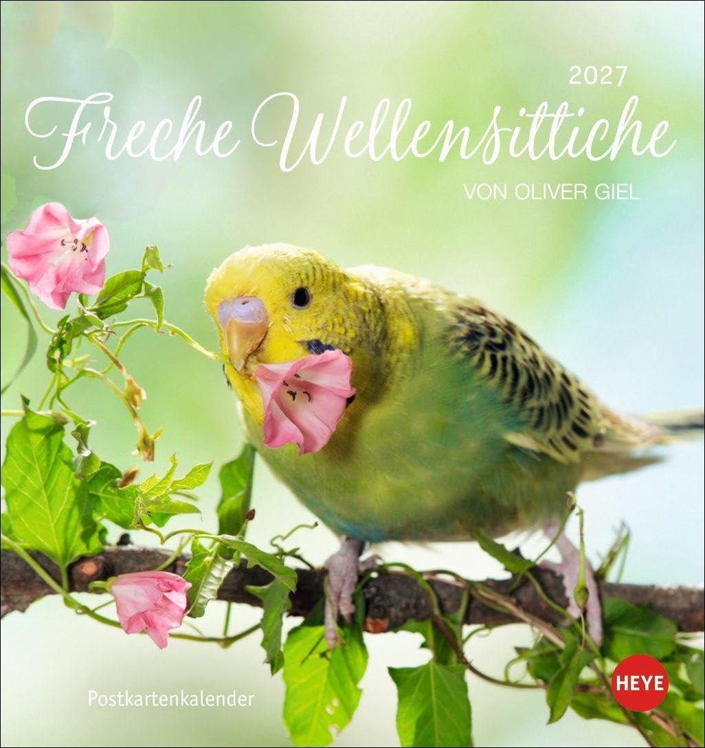 Freche Wellensittiche Postkartenkalender 2027: Die bunten Vögel in einem kleinen Kalender zum Aufstellen und Aufhängen. Perforierter Postkarten-Fotokalender.
