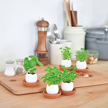 61Pxfhx3BTL._AC_UF350,