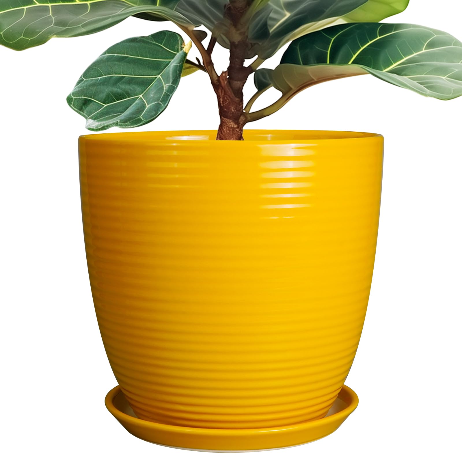 EPFamily 12 Inch Glossy Yellow Ceramic Planter