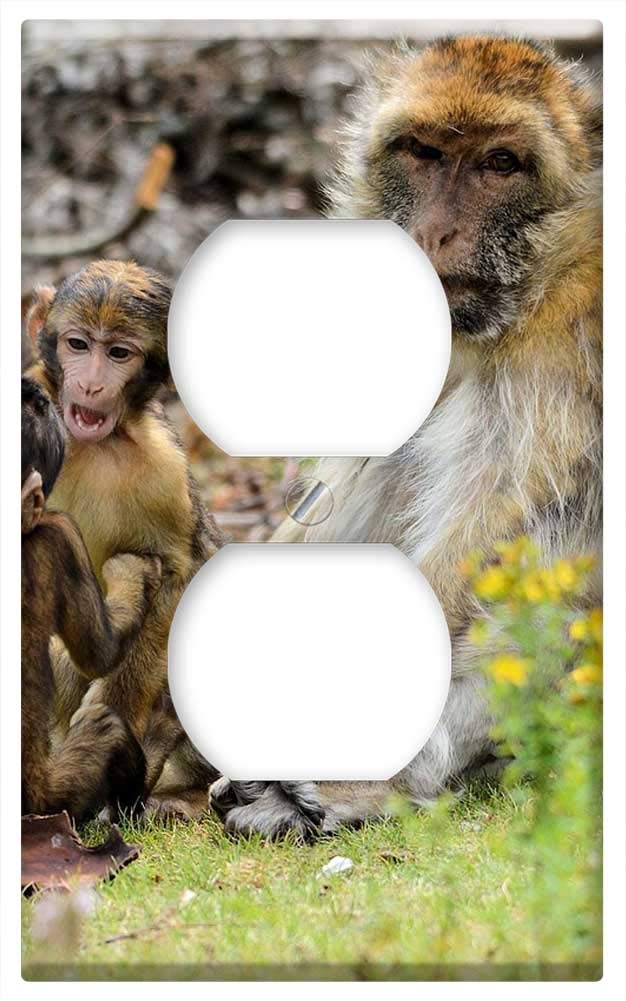 Switch Plate Outlet Cover - Barbary Macaque Monkey Baby Monkey Animal Species