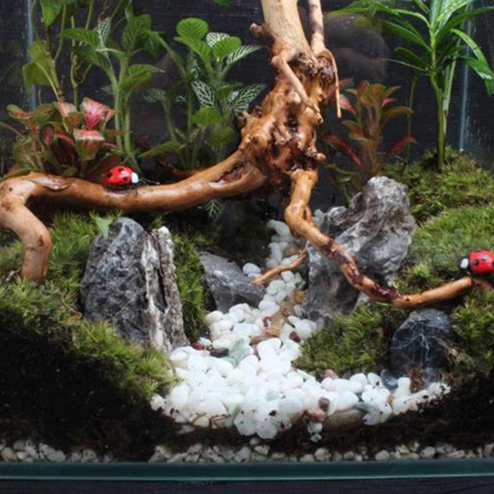 VILLCASE Madera Flotada Natural 4 Piezas Decoraciones Acuario Ramas Ornamentales para Plantas Y Reptiles