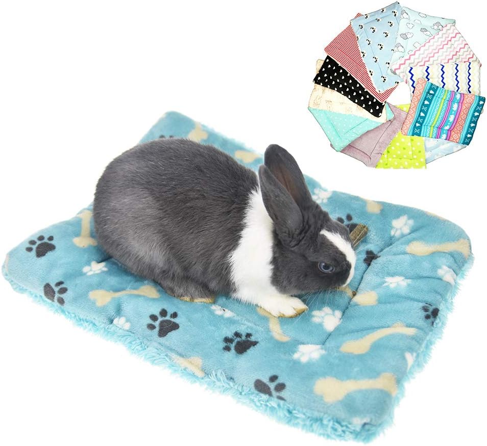 Muyaopet - Colchoneta para cama de conejo, cobaya, hámster de invierno, forro polar grueso, diseño de ardilla y erizo