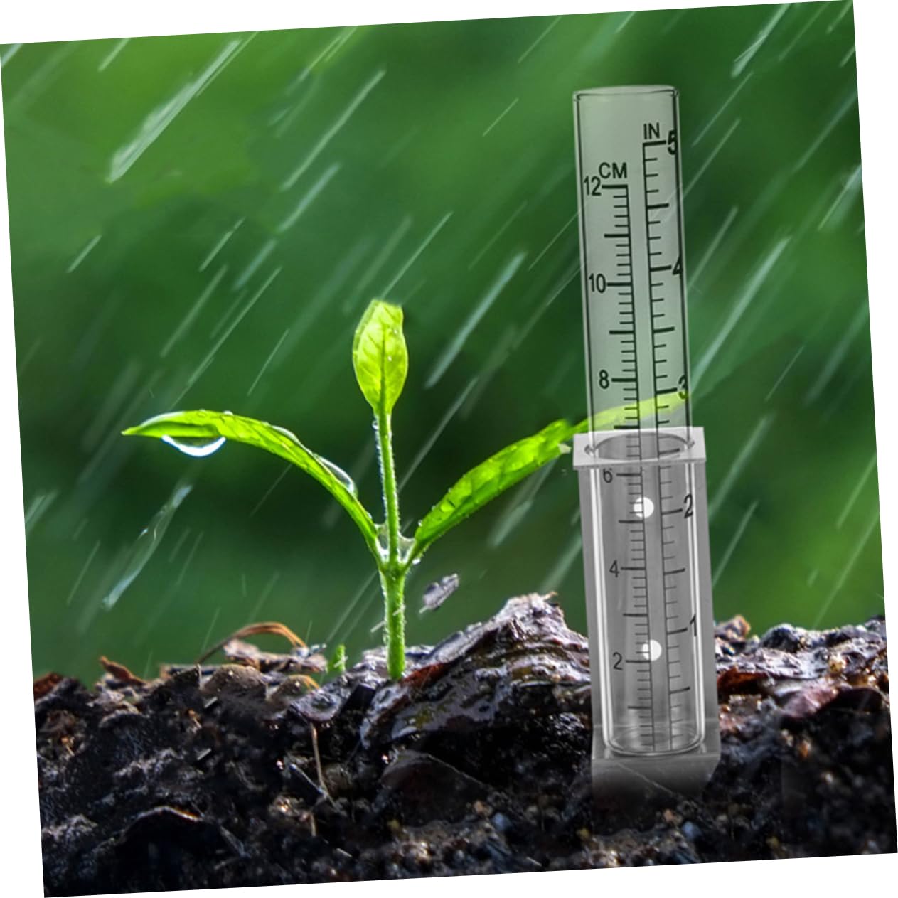 HANABASS 2pezzi Pluviometro Staffa in Acciaio Inossidabile Per Giardino e Patio Strumento Di Misurazione Della Pioggia Preciso Con Marcature Chiare e Facile Installazione