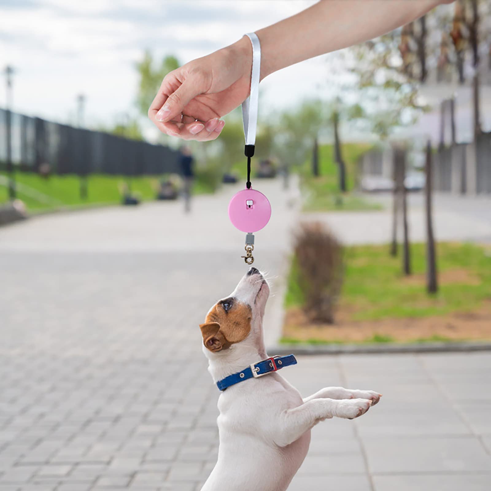 Guinzaglio per Cani Allungabile Lunghezza 3 Metri Guinzaglio Retrattile 2 Metri per Addestramento e Passeggiata Guinzaglio per Cani Estensibile