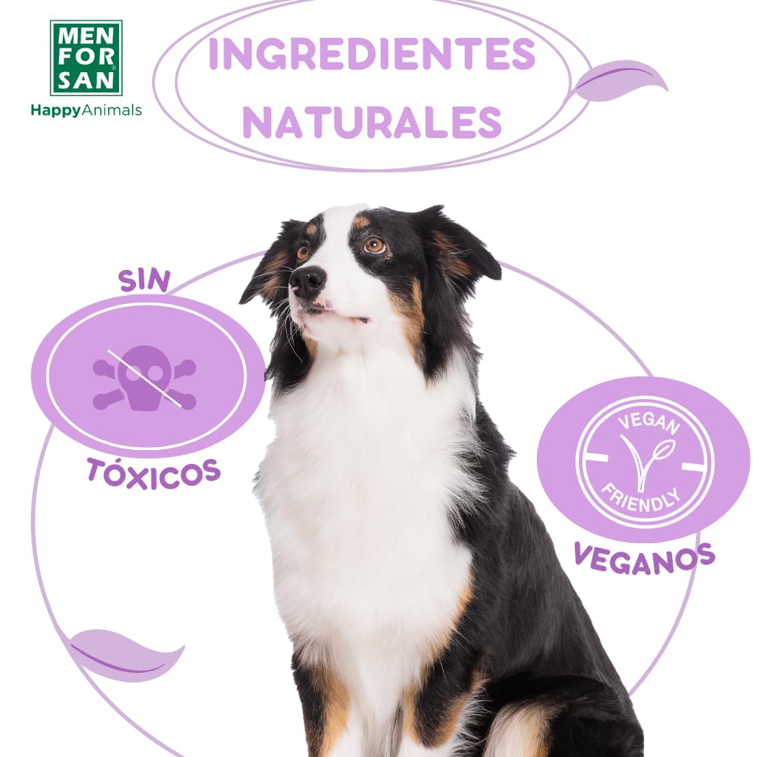 MENFORSAN Champú Anti-Insectos Repelente para Perros | con 3 Activos Naturales: Margosa, Geraniol y Lavandino | Protege contra Insectos | Cítrico | 5L