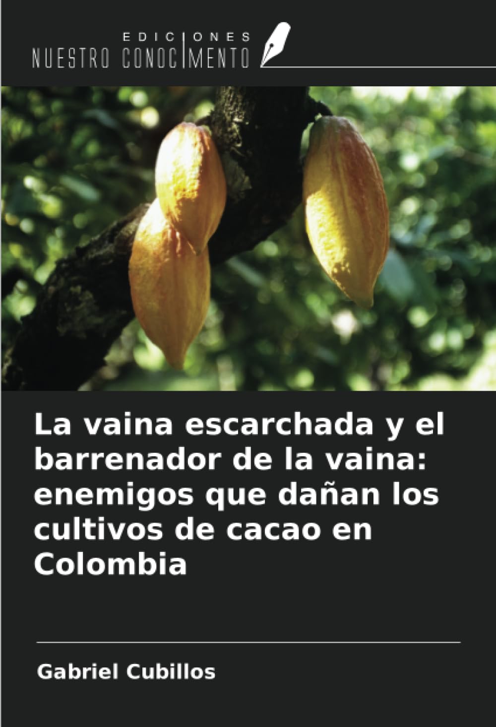 La vaina escarchada y el barrenador de la vaina: enemigos que dañan los cultivos de cacao en Colombia