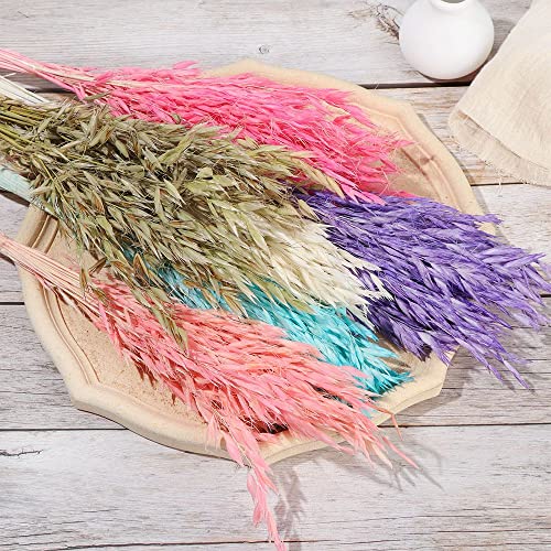 Hierba Pampas Grande 25 Piezas Natural Seco Decoración miniatura 2