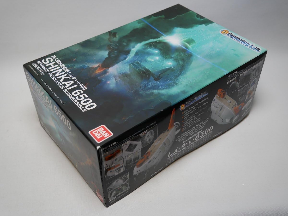 富貴蘭【黒魁】 1本 (園芸JAPAN掲載) 富貴蘭【黒魁】 1本 (園芸JAPAN