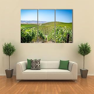 MentCh Vineyard in Valley Wall Art Decor Poster Painting on Canvas Print Pictures 3 Pieces Wall Picture 3 Panel Canvas Print Paintings for Wall Stretched and Framed Ready to Hang Gift
