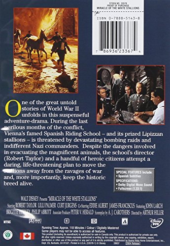 Miracle of the White Stallions image 3
