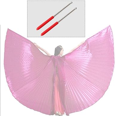 Geardeangloow Paire De Bâtons Télescopiques Portatifs