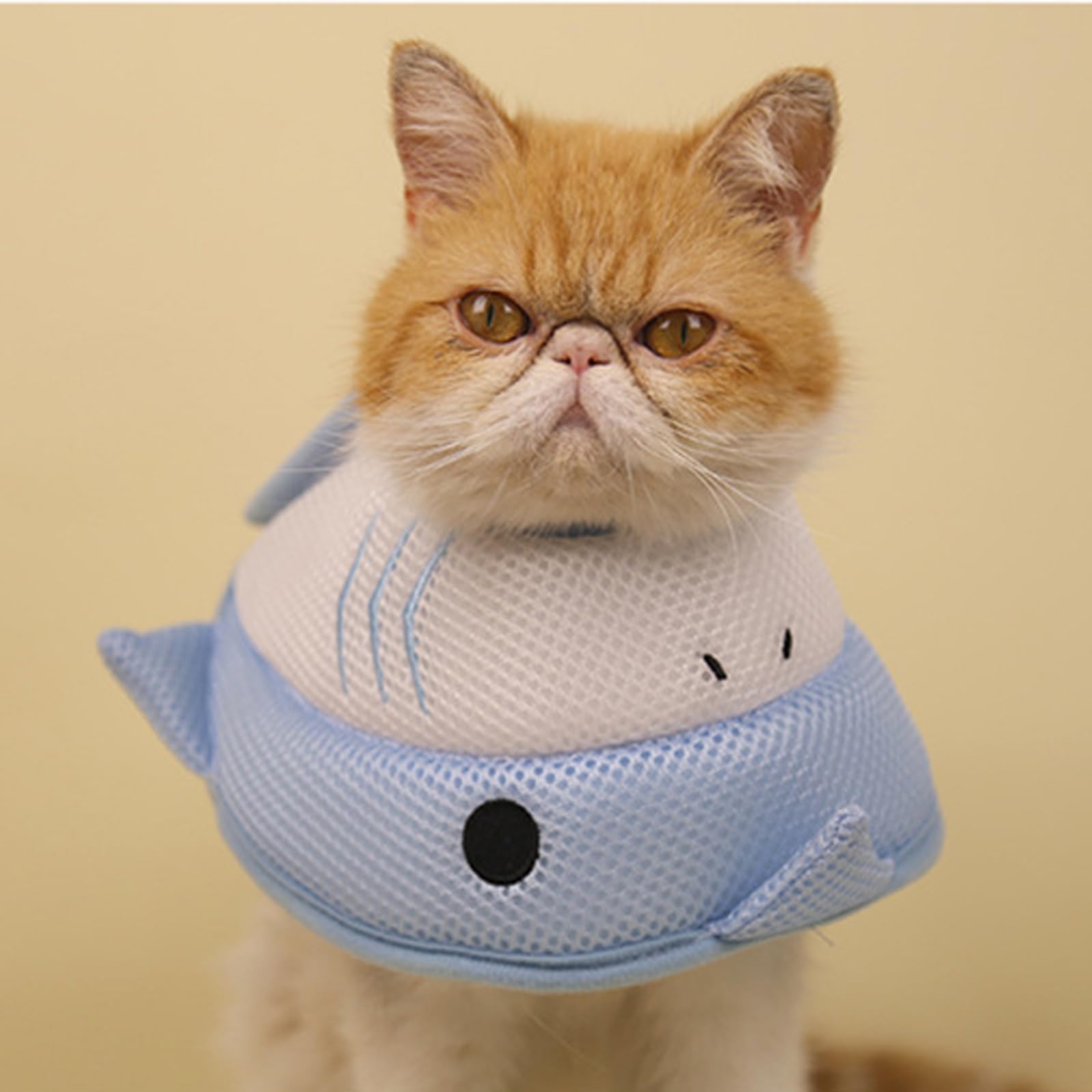 Cono Per Collo Di Gatto Comodo Collare Per Collo Di Recupero Per Animali Domestici Anti Leccare,C,S