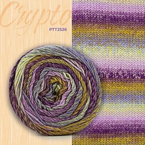 Image of Ganga Acrowools Crypto -100% Acrylic Yarn, Hand Knitting and Crochet Yarn, Pack of 2 Balls - 100Gm Each. Shade No - Ptt2526, Multicolour