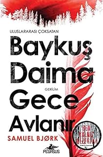 Baykuş Daima Gece Avlanır