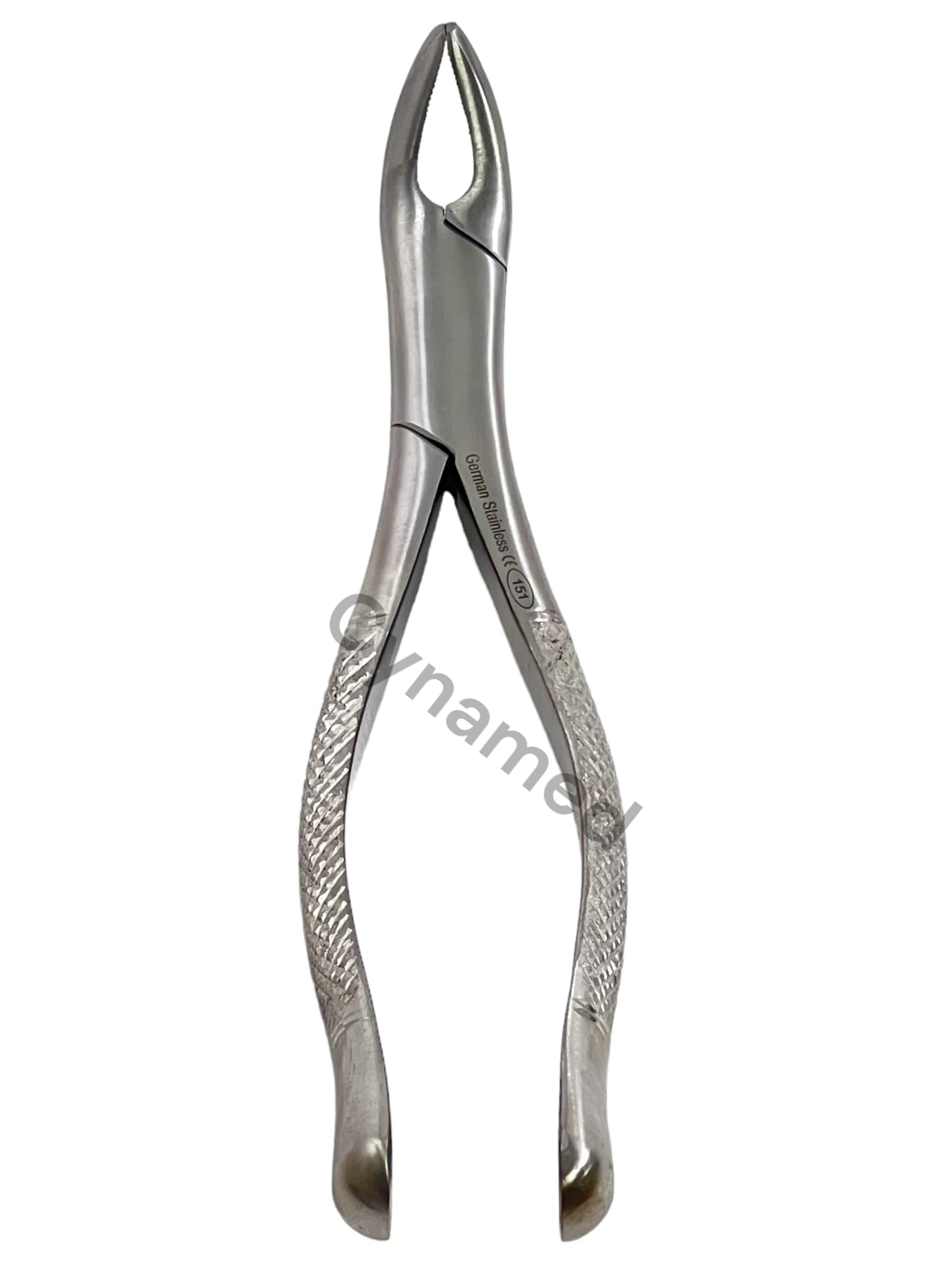 Amazon.com: German Stainless Steel EXTRACTING Forceps #151 Dental 
