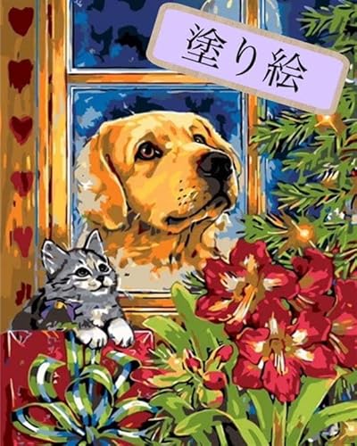 io[yCg ANhGLbgu̖Ɋ肢vL G G 