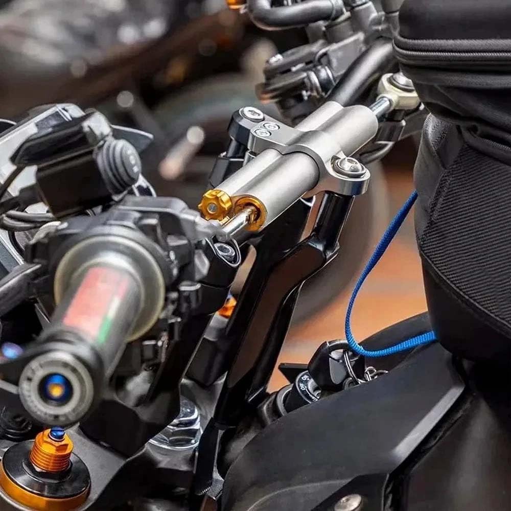 Adjustable Steering Damper Stabilizer with Mount Bracket Compatible with Yamaha MT-09 2025 2026 (Dual-tube Silver)